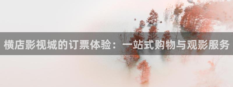 飘零飘花影院：横店影视城的订票体验：一站式购物与观影服务