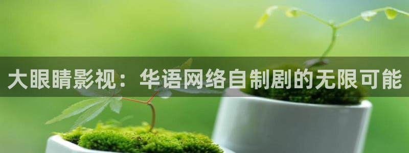 飘零电影网在线观看完整版：大眼睛影视：华语网络自制剧的无限可能