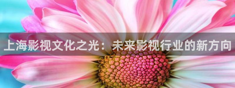 飘零影院在线：上海影视文化之光：未来影视行业的新方向