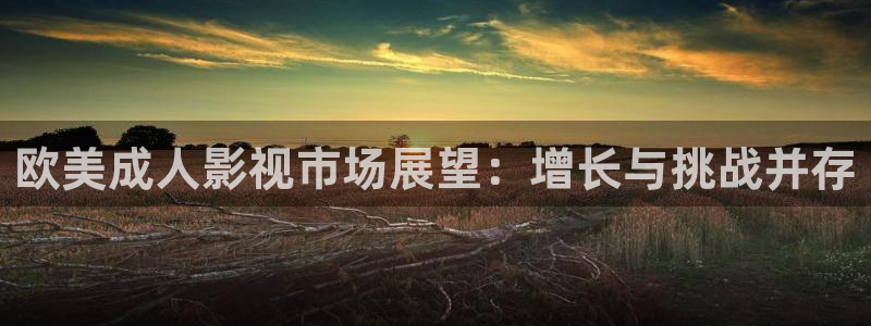飘零影院免费观看：欧美成人影视市场展望：增长与挑战并存