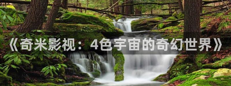 飘零电影院：《奇米影视：4色宇宙的奇幻世界》