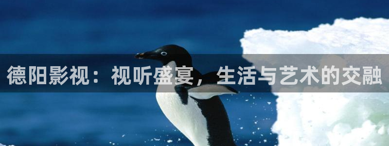 新飘零影院：德阳影视：视听盛宴，生活与艺术的交融