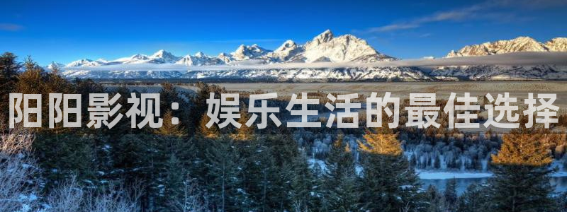 yy飘零影院：阳阳影视：娱乐生活的最佳选择