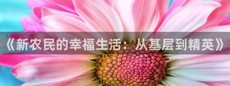 飘零影视：《新农民的幸福生活：从基层到精英》