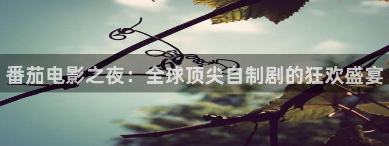 飘零影院手机：番茄电影之夜：全球顶尖自制剧的狂欢盛宴