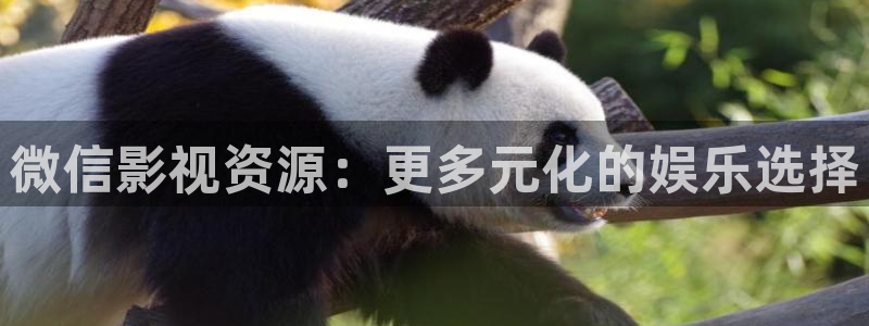 新视觉影院飘零：微信影视资源：更多元化的娱乐选择